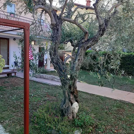Apartment Rocco